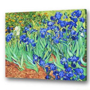 Irises by Vincent van Gogh | 35easy Paint By Number