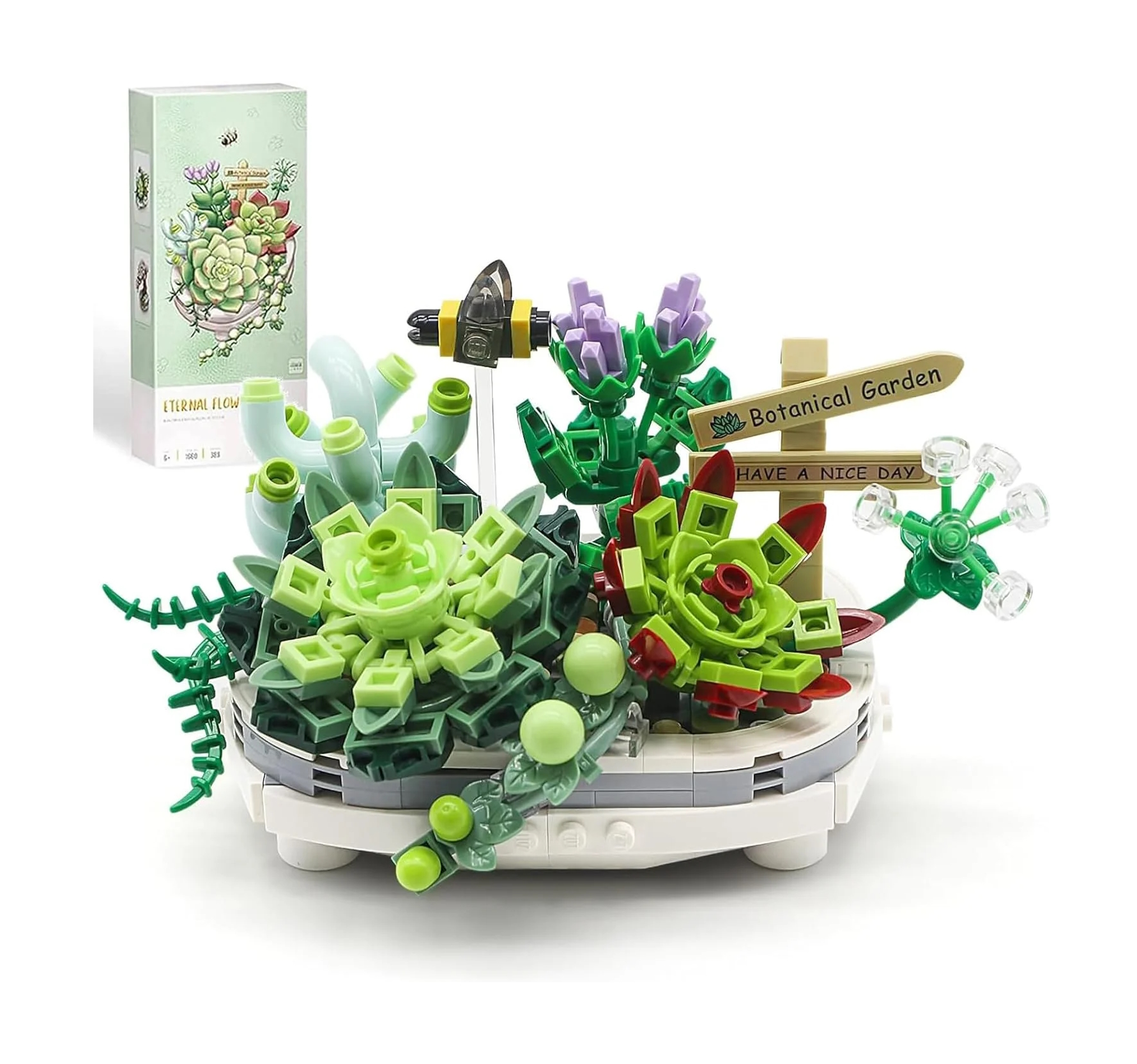 Succulent Pot Plant - Image 3