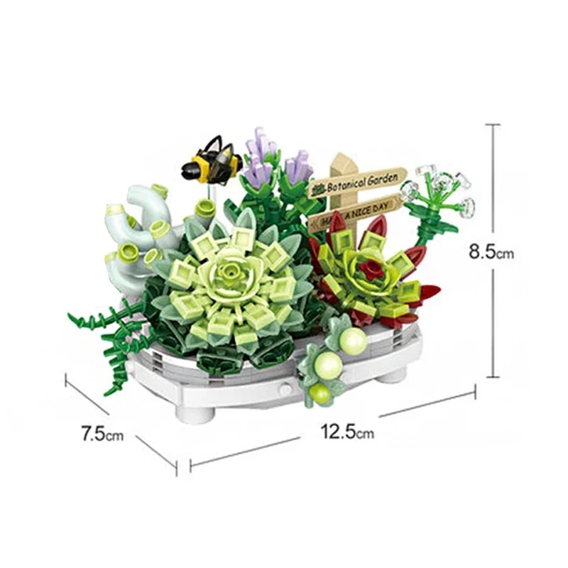 Succulent Pot Plant - Image 4