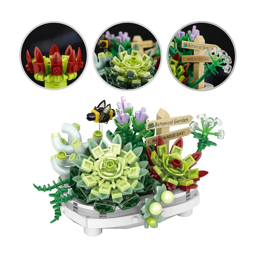 Succulent Pot Plant - Image 5